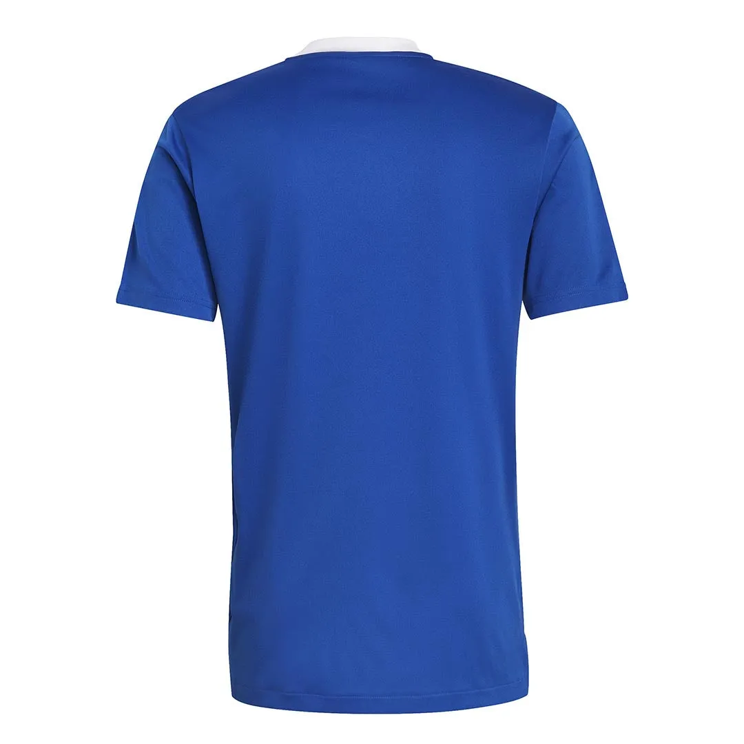 adidas - Herren Tiro 21 Trainings-Trikot (GM7589)
