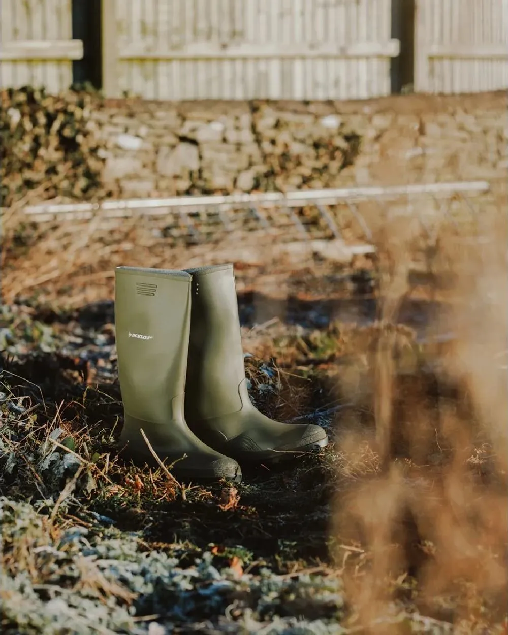 Schuhe Dunlop Dunlop Pricemastor Wellingtons